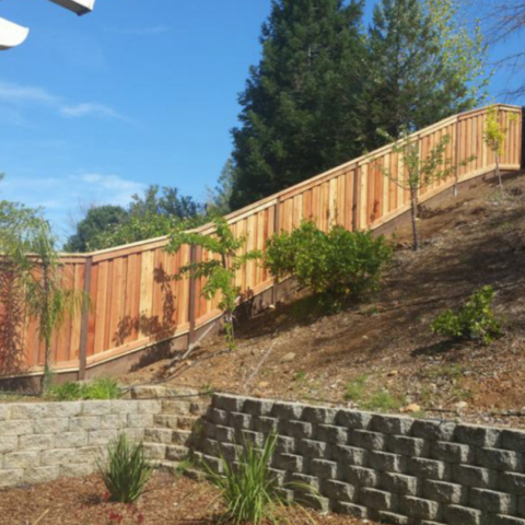 Brand new all wooden fence in the backyard of a house