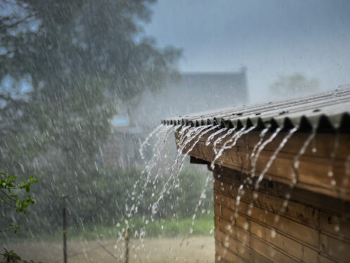 Weatherproof windows and doors in Shingle Springs, CA